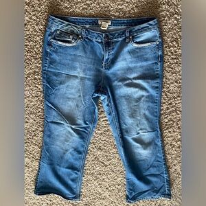 Earl Jeans-Stylish Blue Women's Jeans